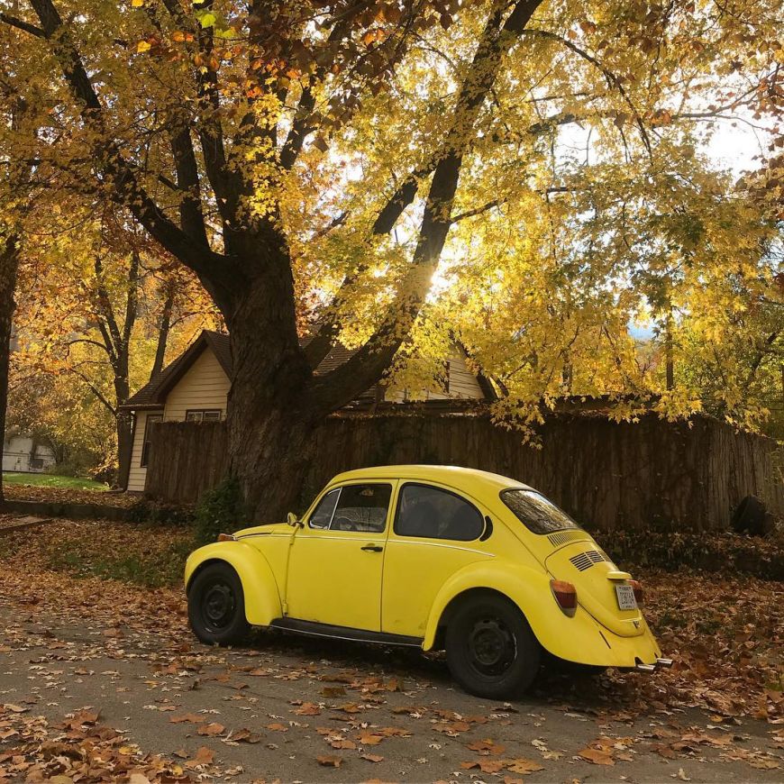 1973 super beetle