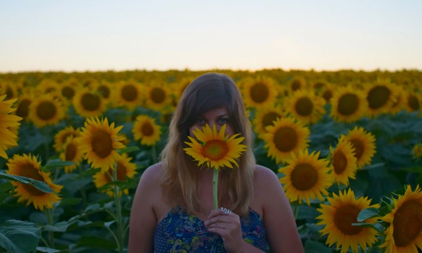 sunflower field with girl