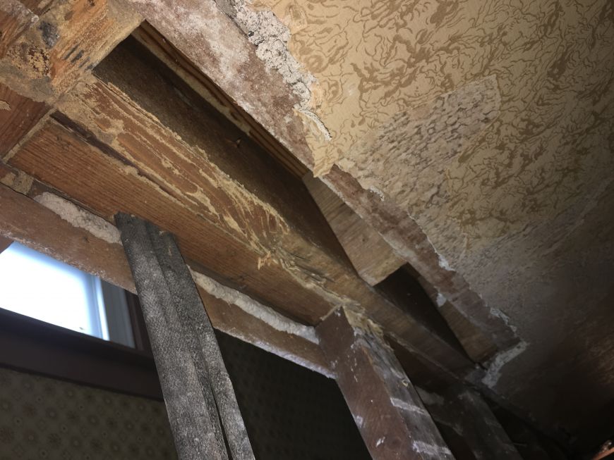 fixer upper house termite damage to wood framing lumber